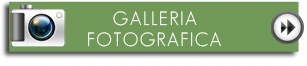 galleria fotografica link