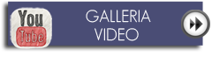 videogallery link
