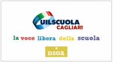 Retribuzione per lo svolgimento delle funzioni superiori di DSGA e pagamento supplenti